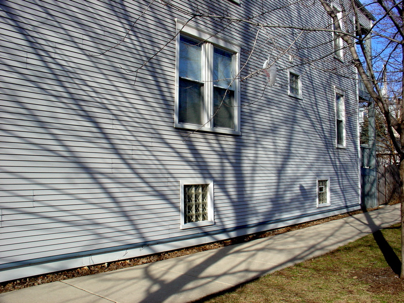 tree-shadow-on-sidewalk-and-house