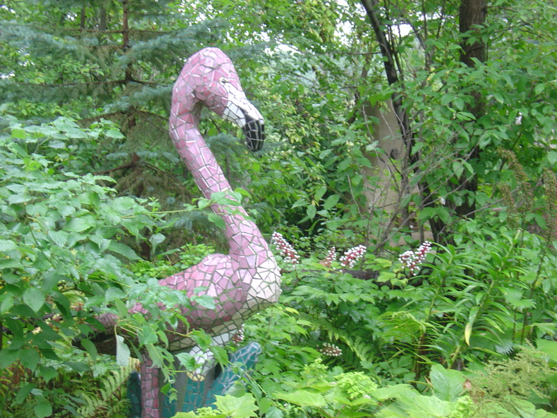 flamingo in the garden